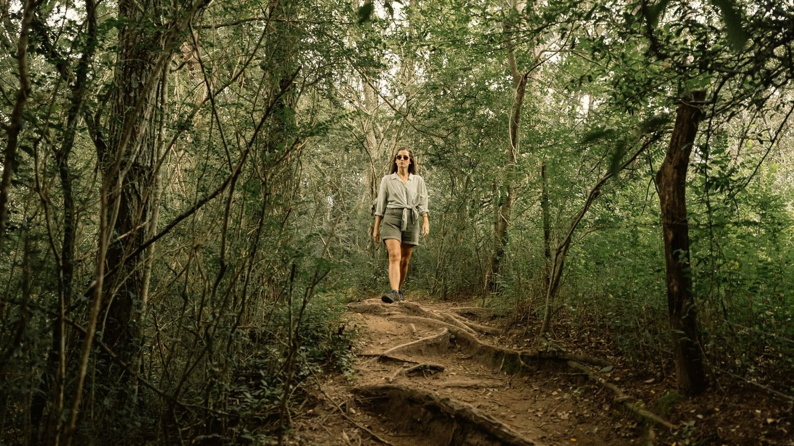 Sendero entre los árboles del campo